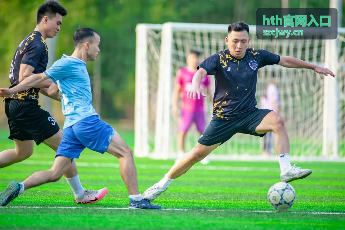 HTH官网入口教育行业网络接入案例