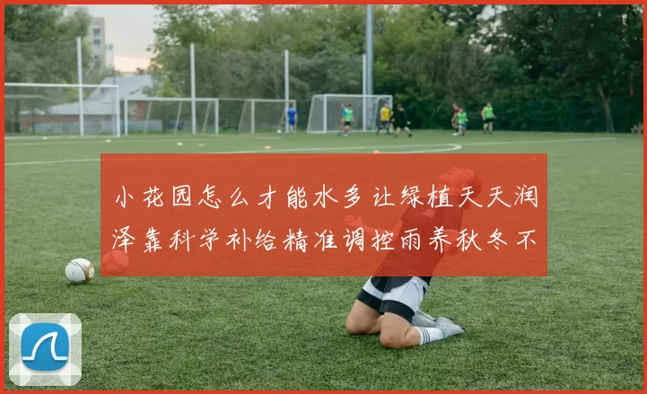 小花园怎么才能水多让绿植天天润泽靠科学补给精准调控雨养秋冬不枯