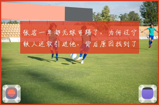 张岩一年都无球可踢了，为何辽宁铁人还敢引进他，背后原因找到了