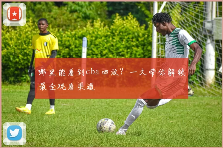 哪里能看到cba回放？一文带你解锁最全观看渠道