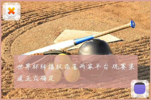 世界杯转播权花落两家平台 观赛渠道正式确定