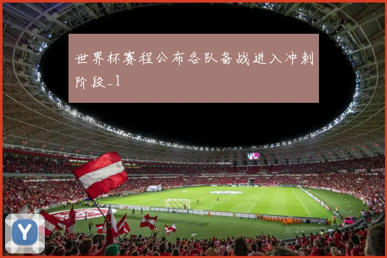 世界杯赛程公布各队备战进入冲刺阶段_1
